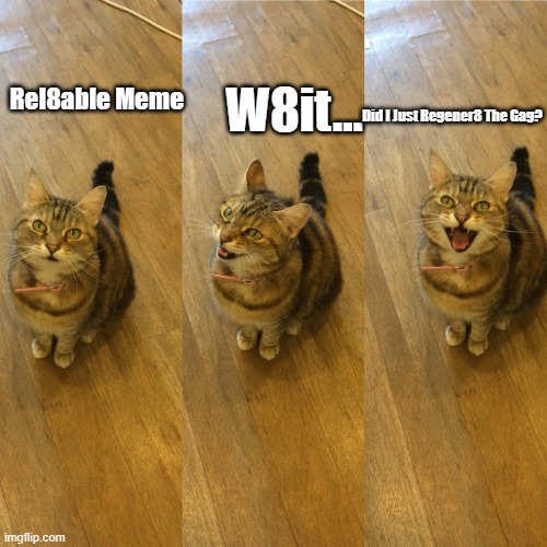 Bad Pun Cat | Rel8able Meme W8it... Did I Just Regener8 The Gag? | image tagged in bad pun cat | made w/ Imgflip meme maker