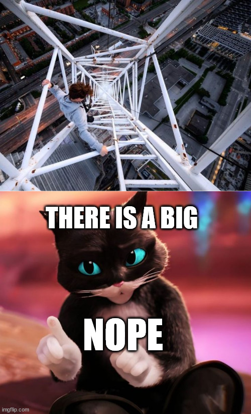 Puss in Boots meme | THERE IS A BIG; NOPE | image tagged in gittersteigen,lattice,climbing,puss in boots,lattice climbing,meme | made w/ Imgflip meme maker