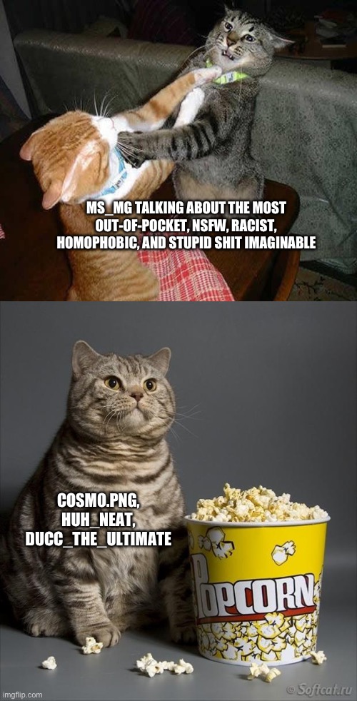 e | MS_MG TALKING ABOUT THE MOST OUT-OF-POCKET, NSFW, RACIST, HOMOPHOBIC, AND STUPID SHIT IMAGINABLE; COSMO.PNG, HUH_NEAT, DUCC_THE_ULTIMATE | image tagged in cat watching other cats fight | made w/ Imgflip meme maker
