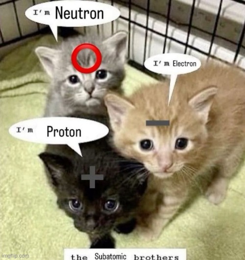The Subatomic brothers... | image tagged in cats | made w/ Imgflip meme maker