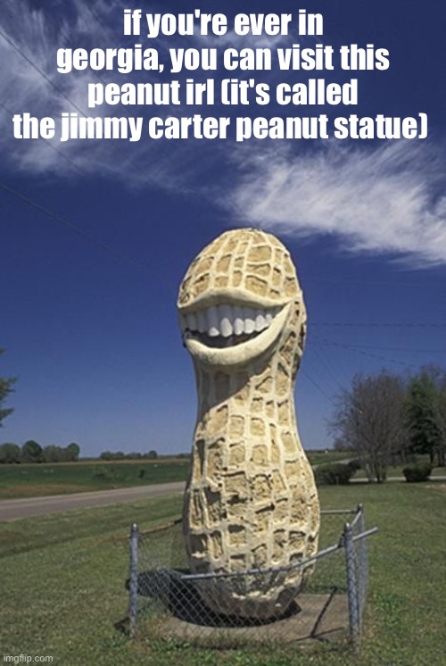 nut | if you're ever in georgia, you can visit this peanut irl (it's called the jimmy carter peanut statue) | image tagged in nut | made w/ Imgflip meme maker