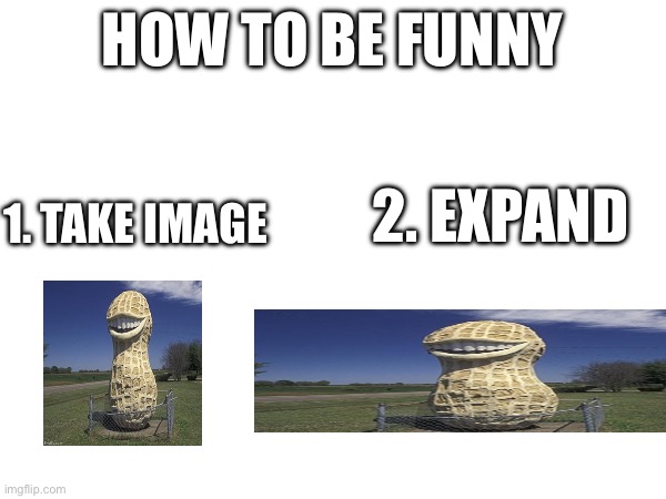 Funi tutorial | HOW TO BE FUNNY; 1. TAKE IMAGE; 2. EXPAND | made w/ Imgflip meme maker