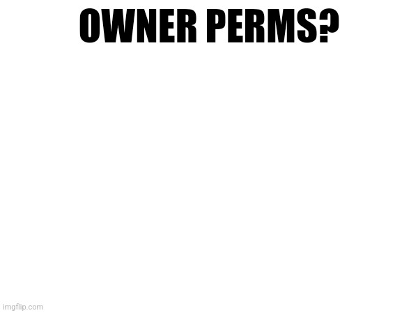 OWNER PERMS? | made w/ Imgflip meme maker