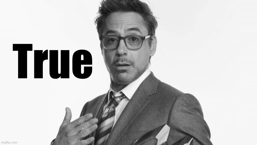 Robert Downey Jr's Comments | True | image tagged in robert downey jr's comments | made w/ Imgflip meme maker