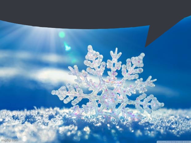 snowflake | image tagged in snowflake | made w/ Imgflip meme maker
