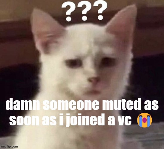 ? | damn someone muted as soon as i joined a vc 😭 | made w/ Imgflip meme maker