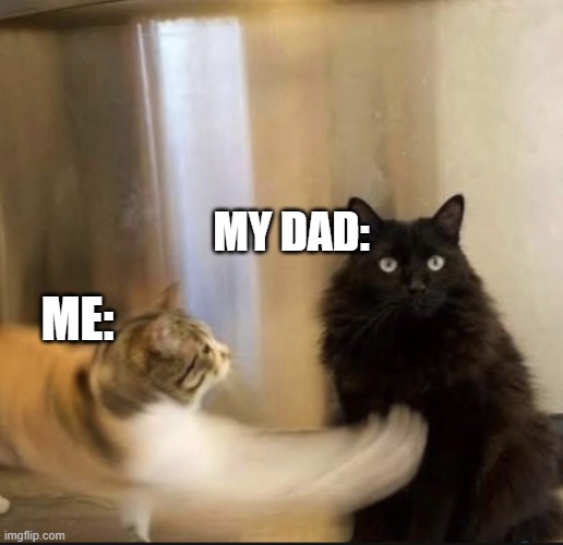 Cat punching CAT | MY DAD:; ME: | image tagged in cat punching cat | made w/ Imgflip meme maker