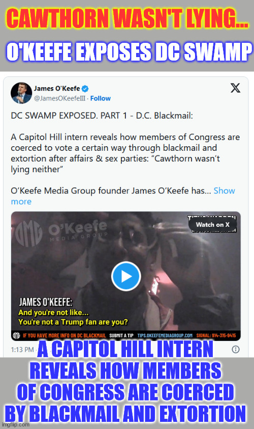 James O'Keefe exposes DC Swamp... blackmail and extortion | O'KEEFE EXPOSES DC SWAMP; CAWTHORN WASN'T LYING... A CAPITOL HILL INTERN REVEALS HOW MEMBERS OF CONGRESS ARE COERCED BY BLACKMAIL AND EXTORTION | image tagged in blackmail and extortion,dc swamp exposed,here comes another cover up | made w/ Imgflip meme maker
