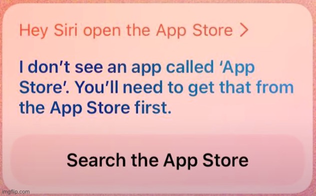 Don’t delete the App Store | image tagged in memes,you had one job,funny | made w/ Imgflip meme maker