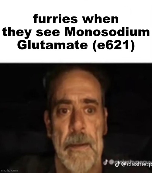 the j | furries when they see Monosodium Glutamate (e621) | image tagged in me watching my testicles burst into flames | made w/ Imgflip meme maker