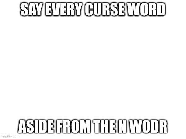 SAY EVERY CURSE WORD; ASIDE FROM THE N WODR | image tagged in damn you for reading the tags | made w/ Imgflip meme maker