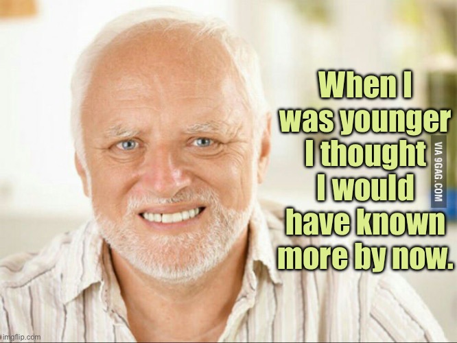 Younger | When I was younger I thought I would have known more by now. | image tagged in fake smile,when younger,i thought,would know more,now,fun | made w/ Imgflip meme maker