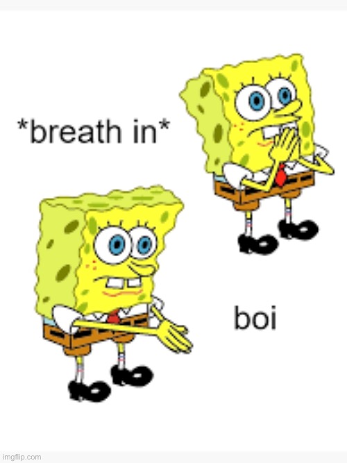 spongebob saying boi | image tagged in spongebob saying boi | made w/ Imgflip meme maker