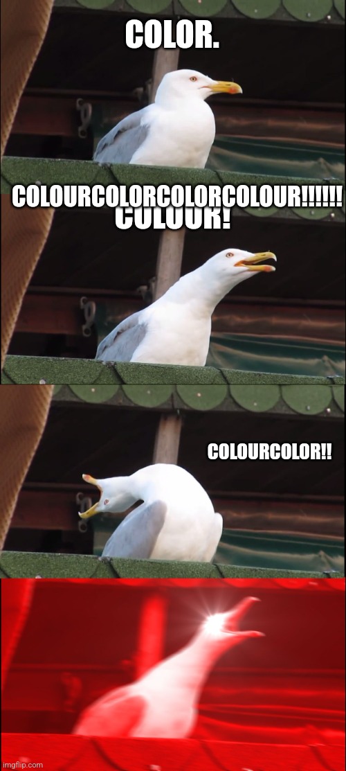 Inhaling Seagull | COLOR. COLOURCOLORCOLORCOLOUR!!!!!! COLOUR! COLOURCOLOR!! | image tagged in memes,inhaling seagull | made w/ Imgflip meme maker