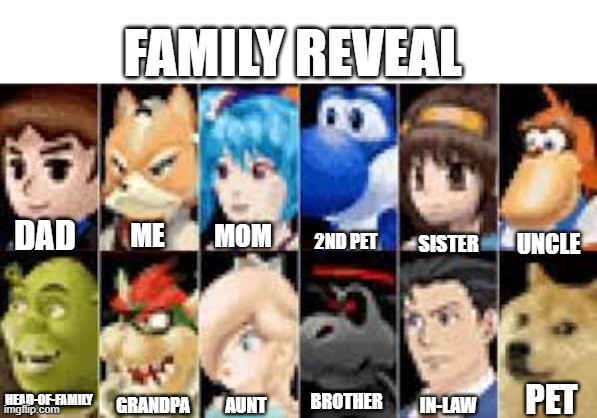 Leaked Family | FAMILY REVEAL; DAD; ME; MOM; 2ND PET; UNCLE; SISTER; PET; HEAD-OF-FAMILY; BROTHER; AUNT; GRANDPA; IN-LAW | made w/ Imgflip meme maker