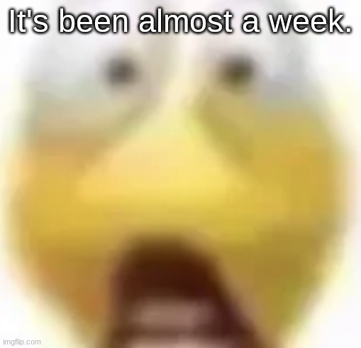 Shocked | It's been almost a week. | image tagged in shocked | made w/ Imgflip meme maker