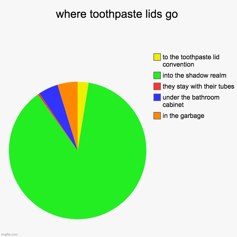 where toothpaste lids go | in the garbage, under the bathroom cabinet, they stay with their tubes, into the shadow realm, to the toothpaste  | image tagged in charts,pie charts | made w/ Imgflip chart maker