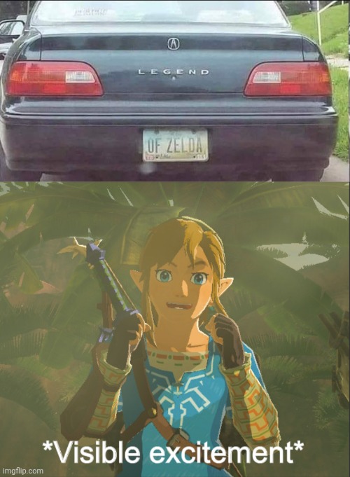 The Legend of Zelda | image tagged in visible excitement,reposts,repost,memes,zelda,the legend of zelda | made w/ Imgflip meme maker