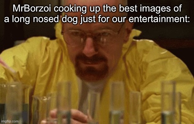 Walter White Cooking | MrBorzoi cooking up the best images of a long nosed dog just for our entertainment: | image tagged in walter white cooking | made w/ Imgflip meme maker