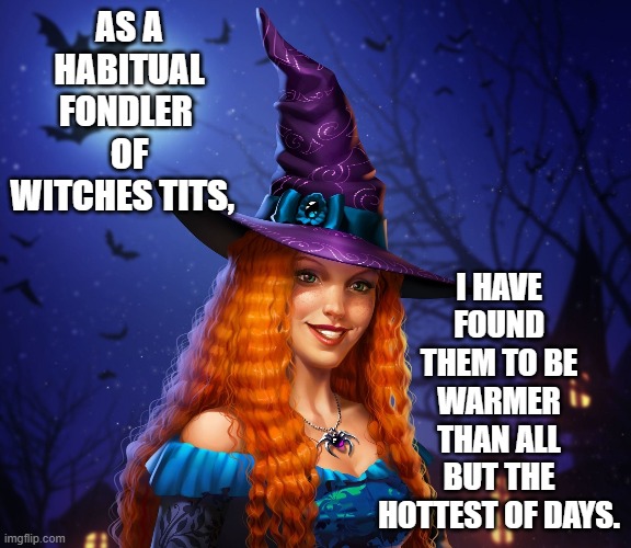 Witches Tits | I HAVE FOUND THEM TO BE WARMER THAN ALL BUT THE HOTTEST OF DAYS. AS A HABITUAL FONDLER 
OF WITCHES TITS, | image tagged in witches tits | made w/ Imgflip meme maker