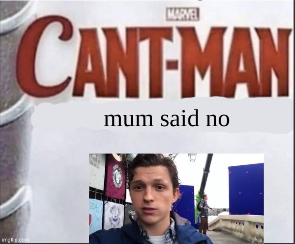 Can't man blank | mum said no | image tagged in can't man blank | made w/ Imgflip meme maker