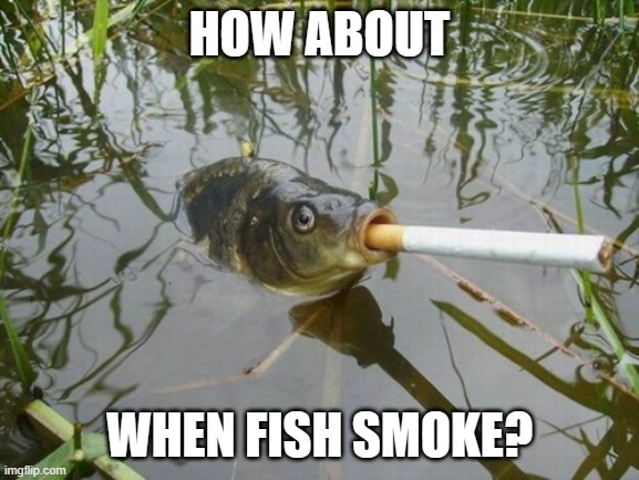 HOW ABOUT WHEN FISH SMOKE? | made w/ Imgflip meme maker