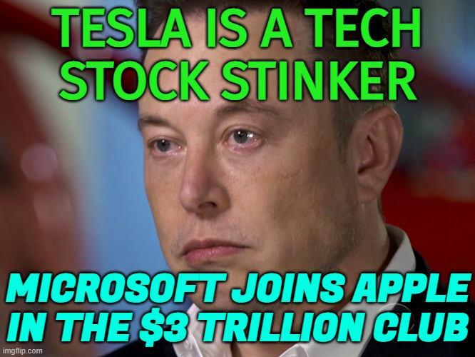 Tesla Is A Tech Stock Stinker | TESLA IS A TECH
STOCK STINKER; MICROSOFT JOINS APPLE IN THE $3 TRILLION CLUB | image tagged in elon musk sad,tesla,elon musk,microsoft,apple,funny meme | made w/ Imgflip meme maker