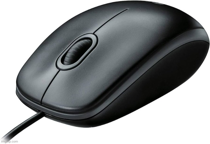 Computer mouse | image tagged in computer mouse | made w/ Imgflip meme maker