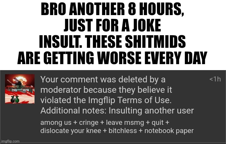 BRO ANOTHER 8 HOURS, JUST FOR A JOKE INSULT. THESE SHITMIDS ARE GETTING WORSE EVERY DAY | made w/ Imgflip meme maker
