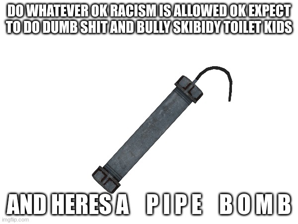 dont obey the rules ok | DO WHATEVER OK RACISM IS ALLOWED OK EXPECT TO DO DUMB SHIT AND BULLY SKIBIDY TOILET KIDS; AND HERES A    P I P E    B O M B | image tagged in fuck it | made w/ Imgflip meme maker
