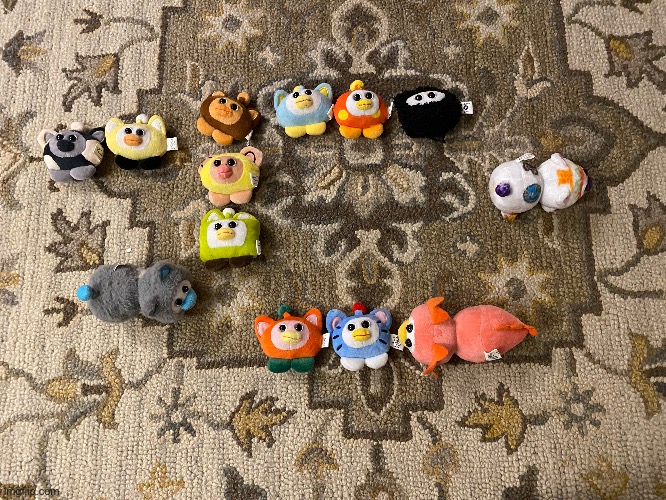 I woke up and my Peepies and OuiOuis were all in this position! What does this mean? This is completely unsightreadable! | made w/ Imgflip meme maker
