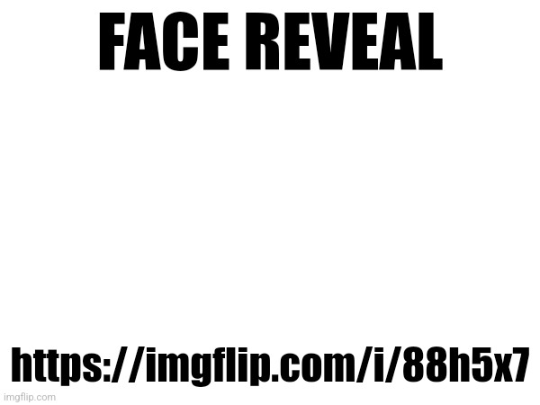 I can't copy paste the link into the chat :( | FACE REVEAL; https://imgflip.com/i/88h5x7 | made w/ Imgflip meme maker