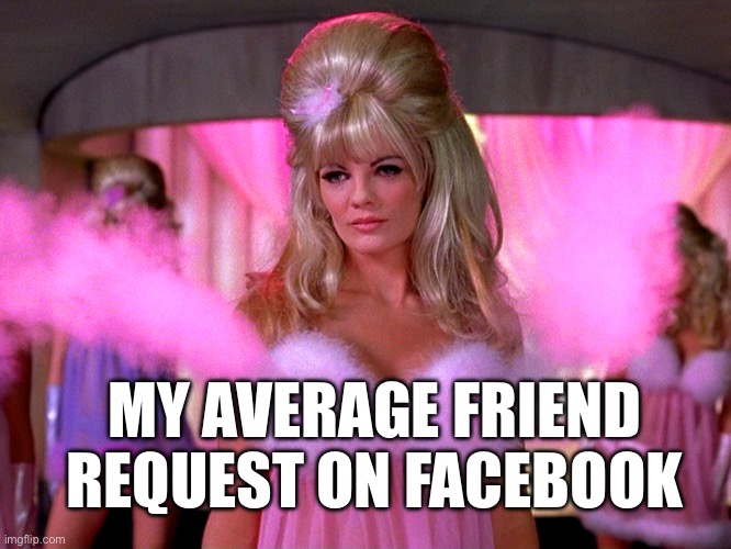 Facebook Fembot | MY AVERAGE FRIEND REQUEST ON FACEBOOK | image tagged in facebook,scam,scammers,catfish,phish | made w/ Imgflip meme maker