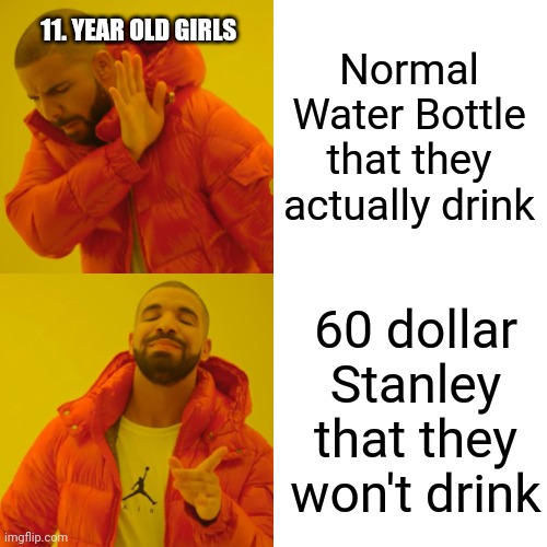 Real Life | Normal Water Bottle that they actually drink; 11. YEAR OLD GIRLS; 60 dollar Stanley that they won't drink | image tagged in memes,drake hotline bling | made w/ Imgflip meme maker