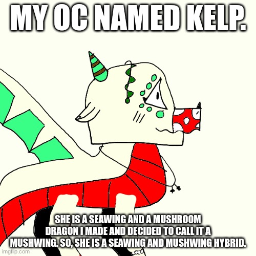 my drawing sucks | MY OC NAMED KELP. SHE IS A SEAWING AND A MUSHROOM DRAGON I MADE AND DECIDED TO CALL IT A MUSHWING. SO, SHE IS A SEAWING AND MUSHWING HYBRID. | made w/ Imgflip meme maker