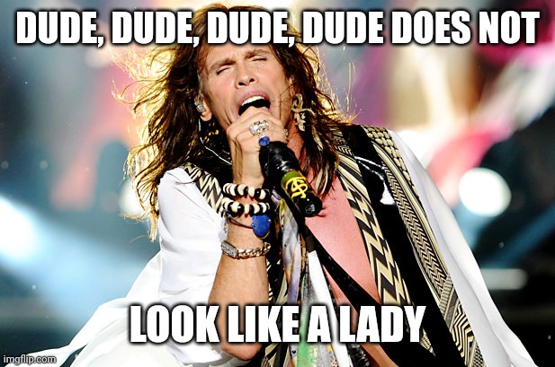 Steven Tyler | DUDE, DUDE, DUDE, DUDE DOES NOT LOOK LIKE A LADY | image tagged in steven tyler | made w/ Imgflip meme maker