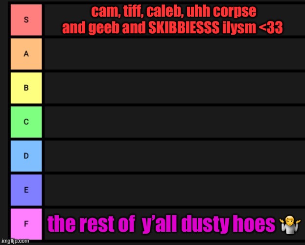 that’s all i remember srry | cam, tiff, caleb, uhh corpse and geeb and SKIBBlESSS ilysm <33; the rest of  y’all dusty hoes 🤷 | image tagged in tier list | made w/ Imgflip meme maker