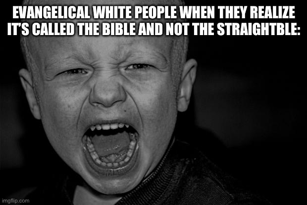ANGER RAGE SCREAM SHOUT IRRITATION FRUSTRATION ANNOYANCE | EVANGELICAL WHITE PEOPLE WHEN THEY REALIZE IT’S CALLED THE BIBLE AND NOT THE STRAIGHTBLE: | image tagged in anger rage scream shout irritation frustration annoyance | made w/ Imgflip meme maker