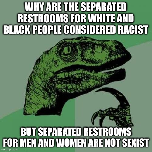i wonder.... | WHY ARE THE SEPARATED RESTROOMS FOR WHITE AND BLACK PEOPLE CONSIDERED RACIST; BUT SEPARATED RESTROOMS FOR MEN AND WOMEN ARE NOT SEXIST | image tagged in memes,philosoraptor | made w/ Imgflip meme maker