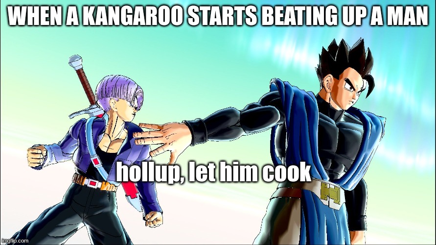 Wait Let him cook | WHEN A KANGAROO STARTS BEATING UP A MAN; hollup, let him cook | image tagged in wait let him cook | made w/ Imgflip meme maker