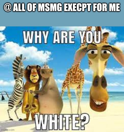 @ ALL OF MSMG EXECPT FOR ME | made w/ Imgflip meme maker