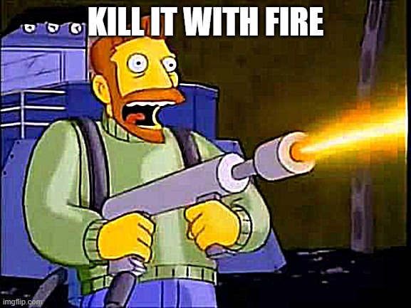 Kill it with fire | KILL IT WITH FIRE | image tagged in kill it with fire | made w/ Imgflip meme maker