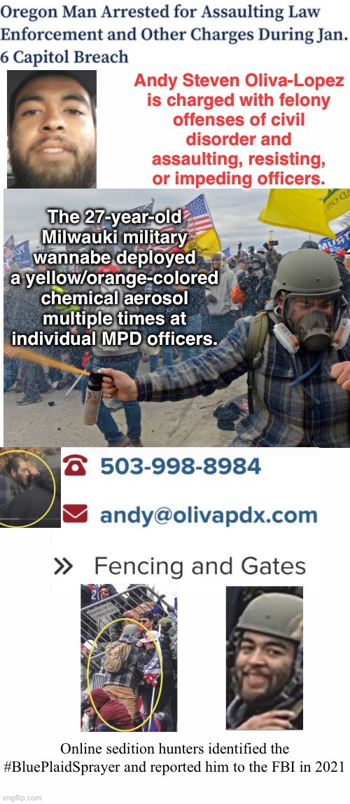 ASOL/Capitol Fencing and Gate Specialist Arrested | image tagged in assault,domestic terrorist,tuff mouse when armed in a crowd,treason,losers losing | made w/ Imgflip meme maker
