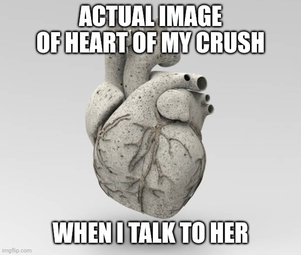 ACTUAL IMAGE OF HEART OF MY CRUSH WHEN I TALK TO HER | made w/ Imgflip meme maker