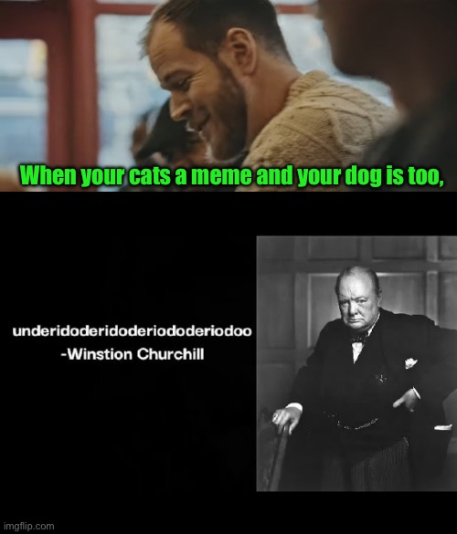 When your cats a meme and your dog is too, | made w/ Imgflip meme maker