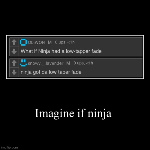 Imagine if ninja | | image tagged in funny,demotivationals | made w/ Imgflip demotivational maker