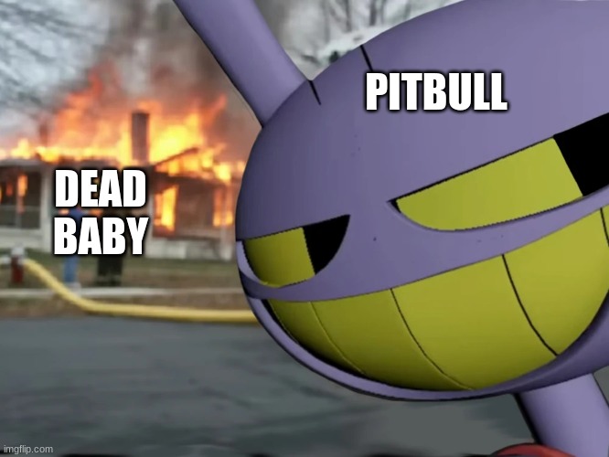 Disaster Jax | PITBULL; DEAD BABY | image tagged in disaster jax | made w/ Imgflip meme maker