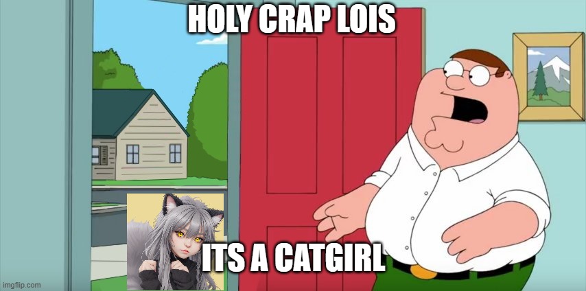 Holy crap Lois its x | HOLY CRAP LOIS; ITS A CATGIRL | image tagged in holy crap lois its x | made w/ Imgflip meme maker