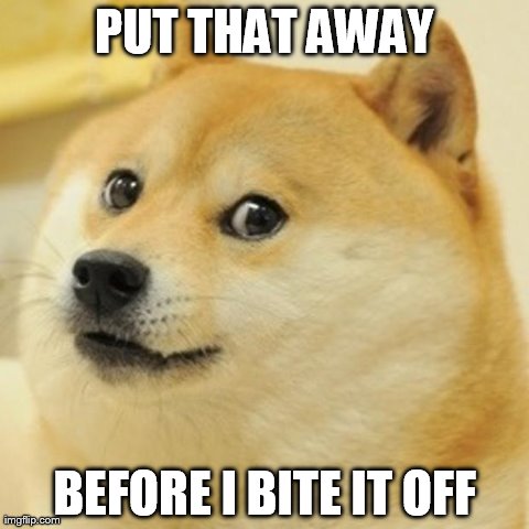 Doge | PUT THAT AWAY BEFORE I BITE IT OFF | image tagged in memes,doge | made w/ Imgflip meme maker