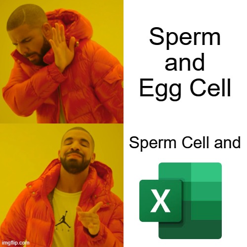 Biology Meme | Sperm and Egg Cell; Sperm Cell and | image tagged in memes,drake hotline bling | made w/ Imgflip meme maker